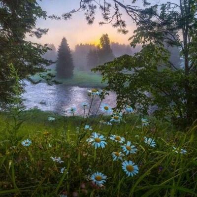 3D校车特技驾驶