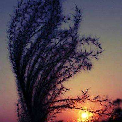 3D任意球淘汰赛